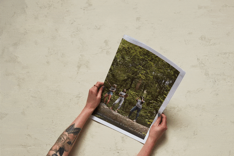 Central Park, New York, The Squirrel Census, Scott Lowden Photography, House of Current, Atlanta, Georgia, Advertising Agency, Photography, Art Direction, Newspaper Mailer